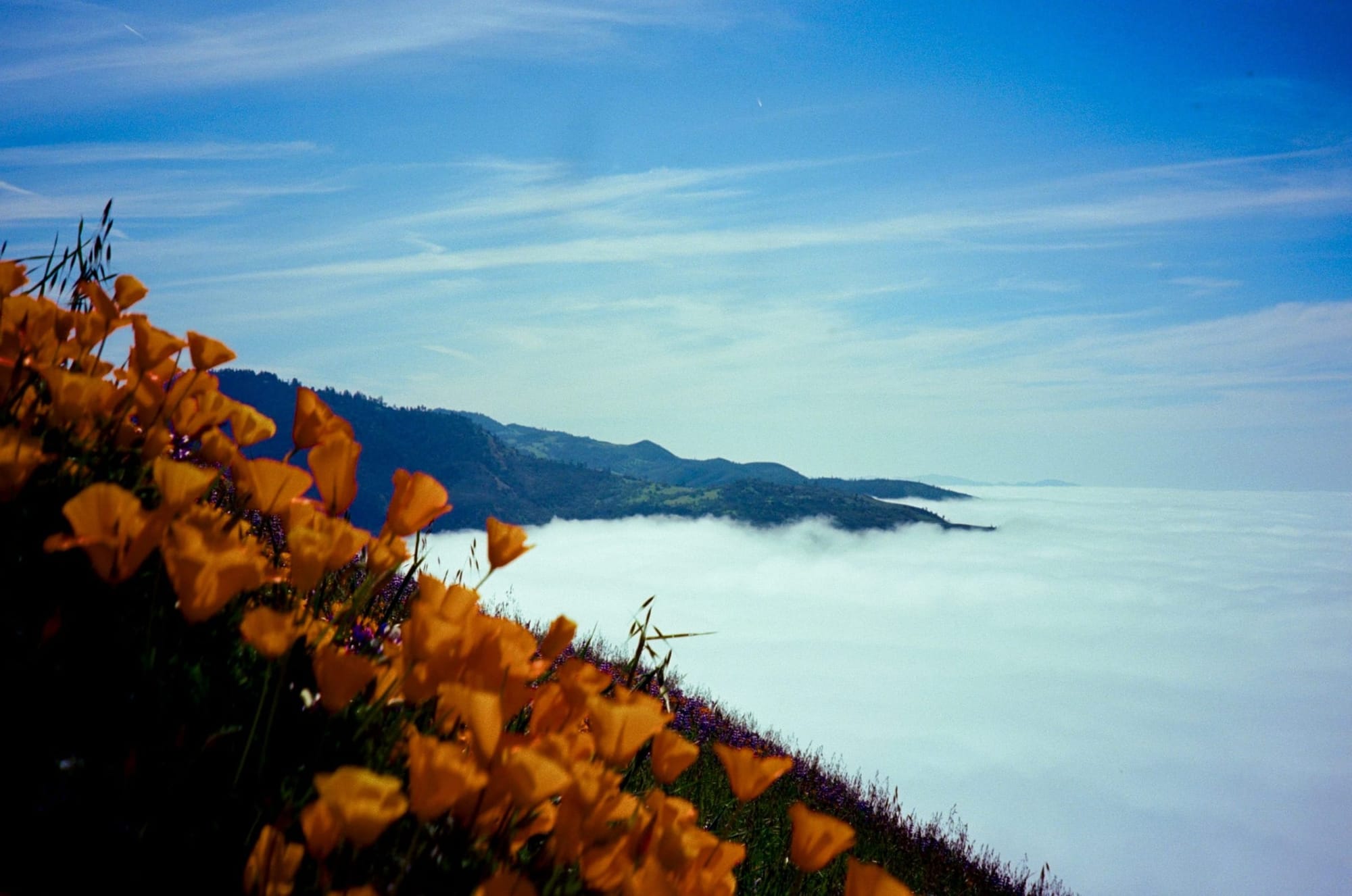 Grass Mountain
