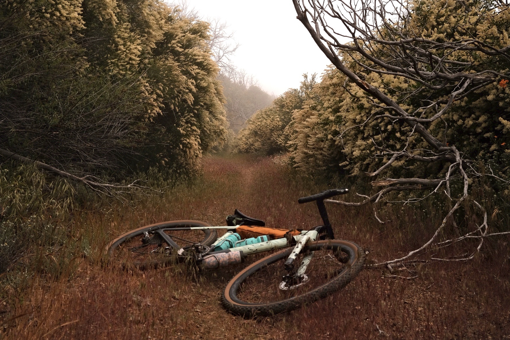 Photo of a bike on the ground with an overgrown trail and dense fog 