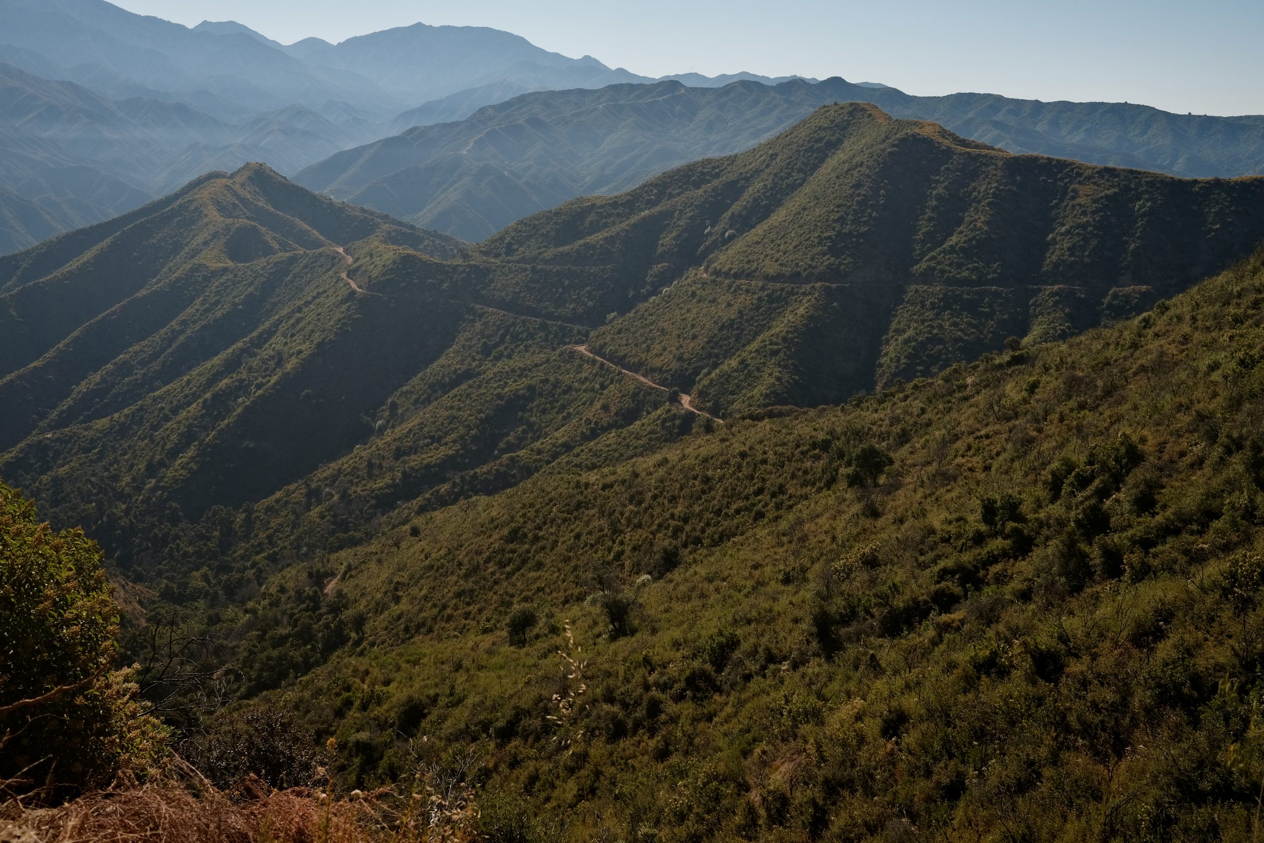 Landscape photo of green california mountains with a dirt road cutting through them