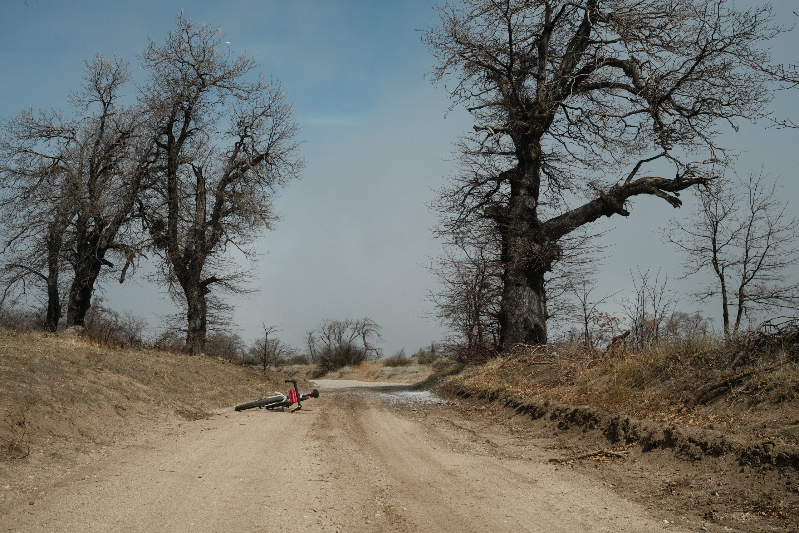 Photo of a bike on the ground on a dirt road with trees nearby covered in ice