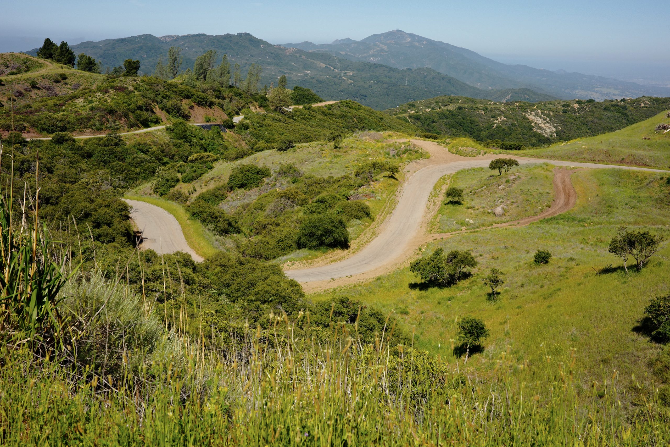 Grassy landscape with winding road