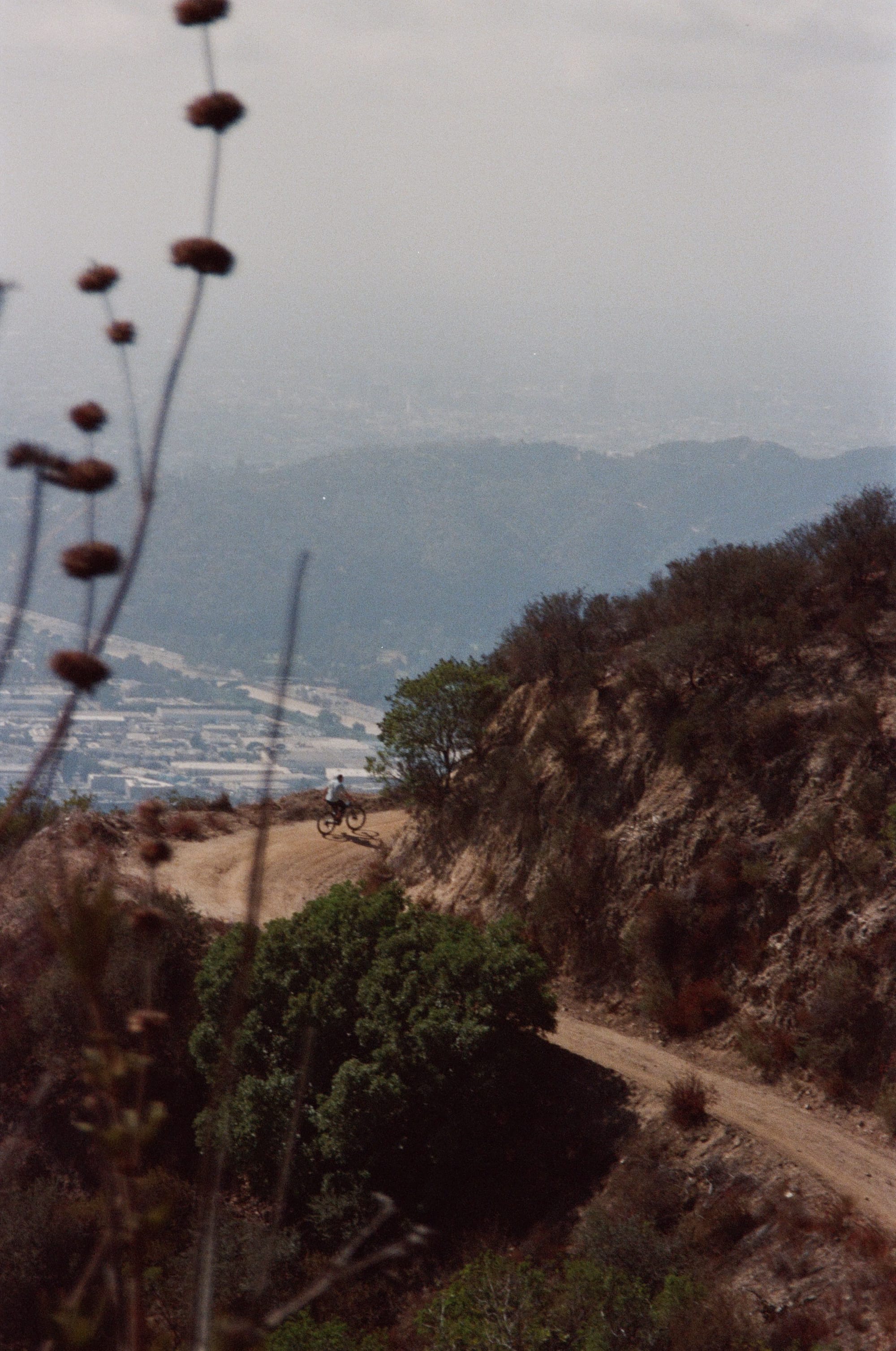 Photo of a cyclist riding up a dirt hill